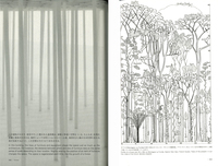 Another Scale of Architecture – Forest Studies