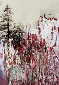 Overpainted Photographs