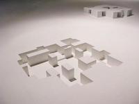 Negatives models, Architecture Biennale